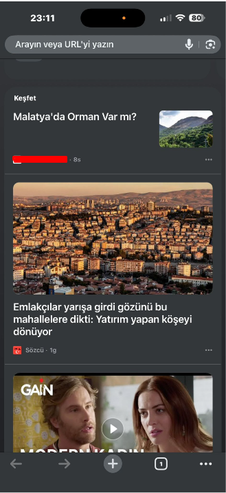 Google Keşfet Seojen